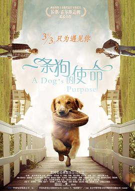 凉森玲梦磁力