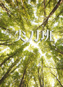 免费国产一区