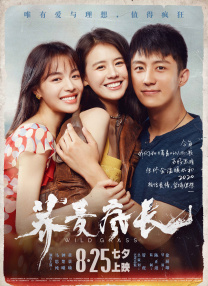 黄色小说哪里看