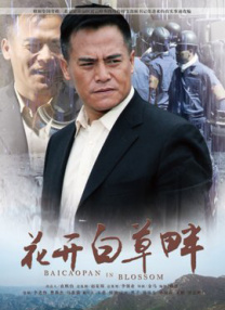 惩罚tk视频vk