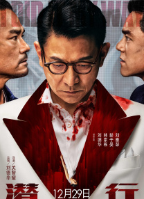 免播放器在线