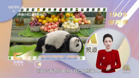 国产在线观看99