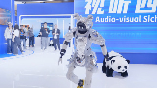 91小视频在线播放